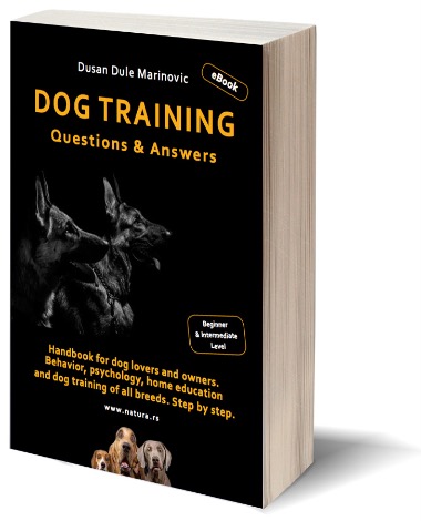 Dog Training 3D Book Cover