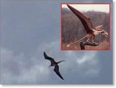 pterosaur---leteci-dinosaurus