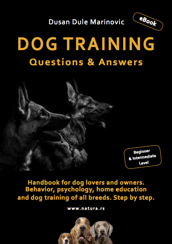 English Dog Training eBook velika