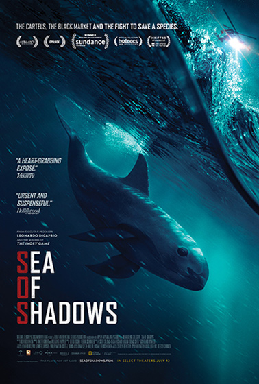 GF 2019 SeaOfShadows