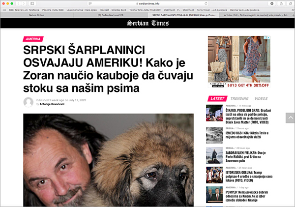 Serbian Times 17 7 2020