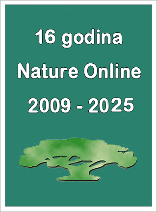 16 godina Nature Online 22.1.2009 - 22.1.2025..