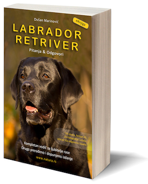"Labrador retriver - Pitanja & Odgovori", digitalna knjiga, drugo prerađeno i dopunjeno izdanje, Mob/Viber +38163254738