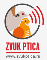 zvuk-ptica-logo